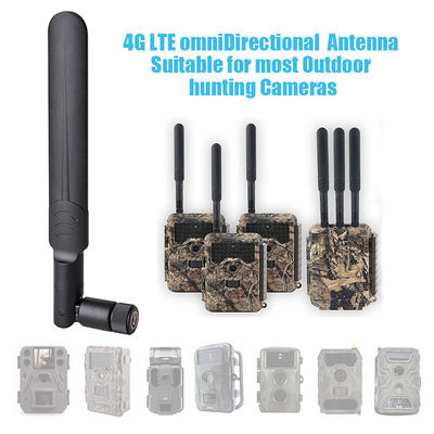 4G LTE omniDirectional 8dBi High Gain Booster Antenna للصيد في الهواء الطلق كاميرات المراقبة